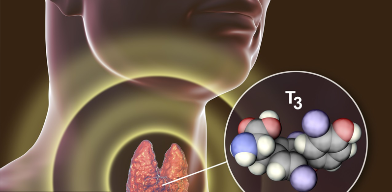 親愛的甲狀腺，你還好嗎？