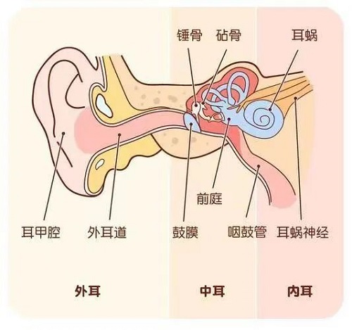 鼓膜穿孔不要怕！微創(chuàng)耳內(nèi)鏡來修補！